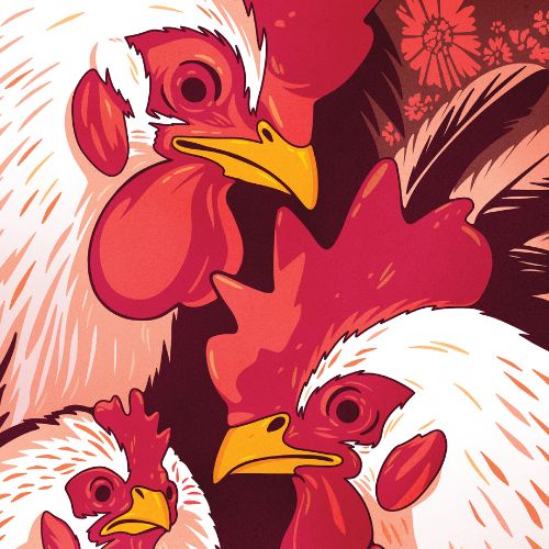 'Animalia'