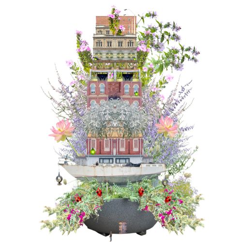 'Strange Gardens'