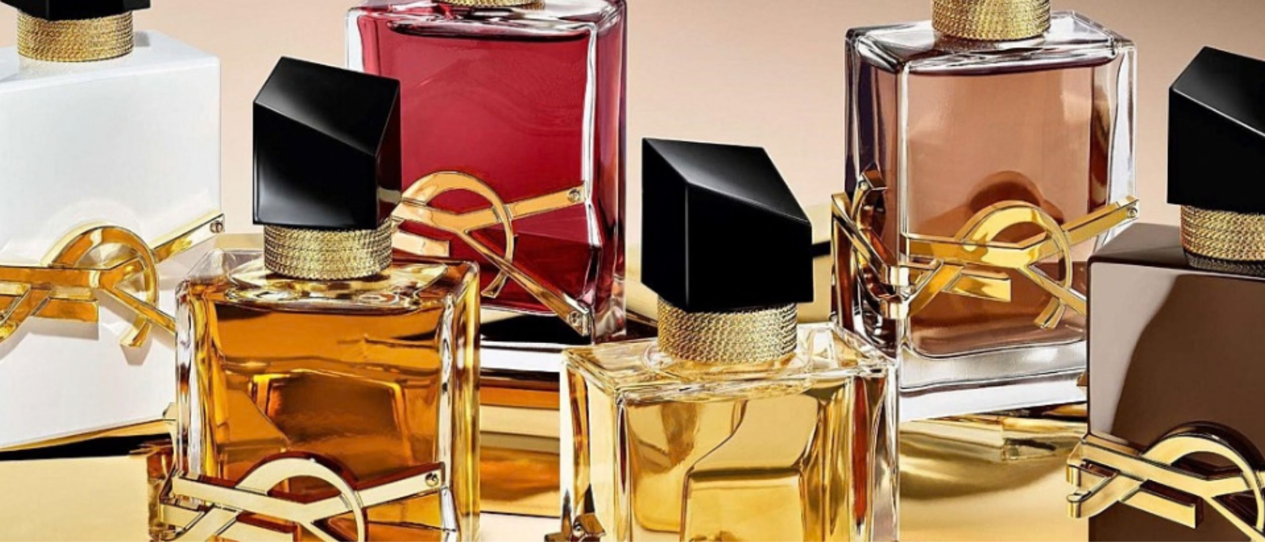 David Jones Rewards Member Offer