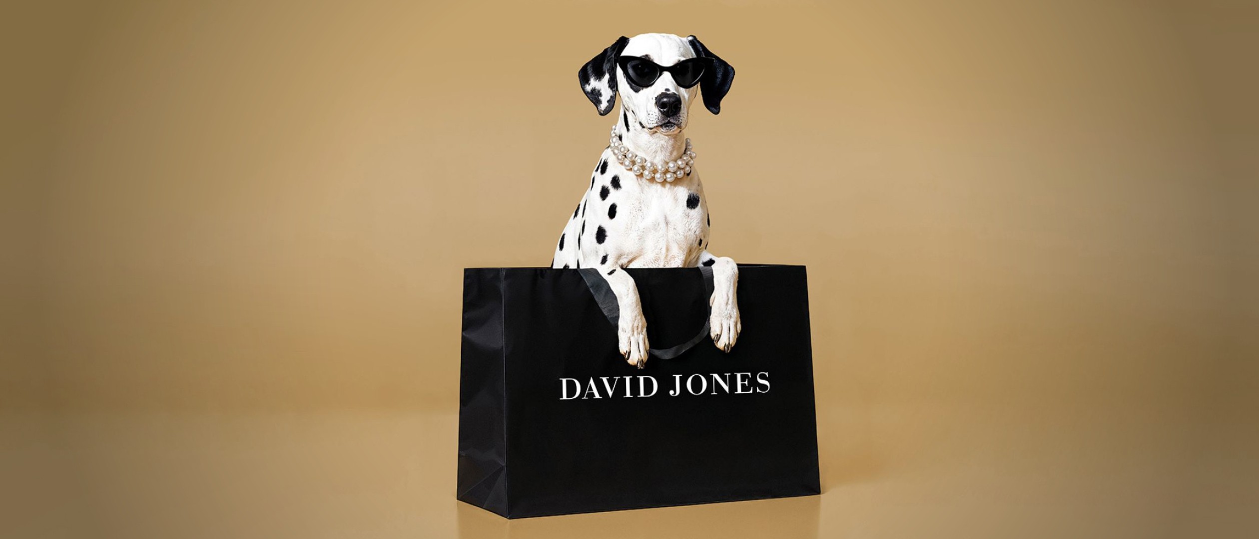 David Jones Rewards